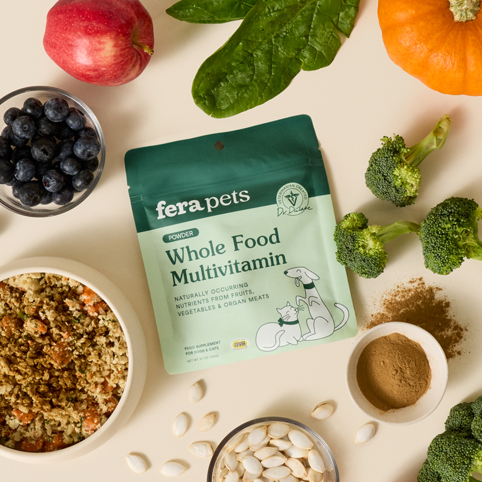 5 Reasons Dr. Wolfe Stands Behind Fera Pets