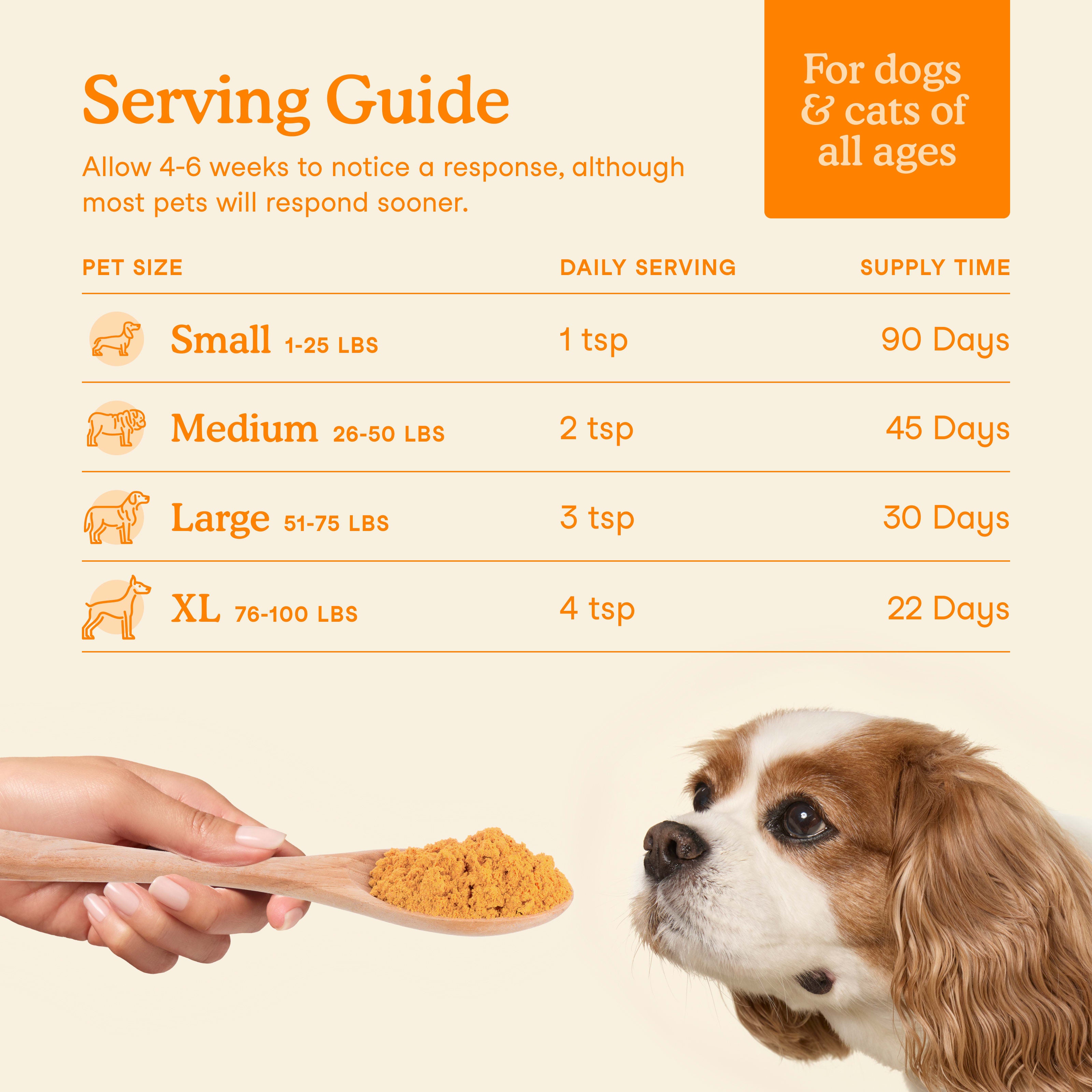 Pumpkin Plus Fiber Support for Dogs and Cats
