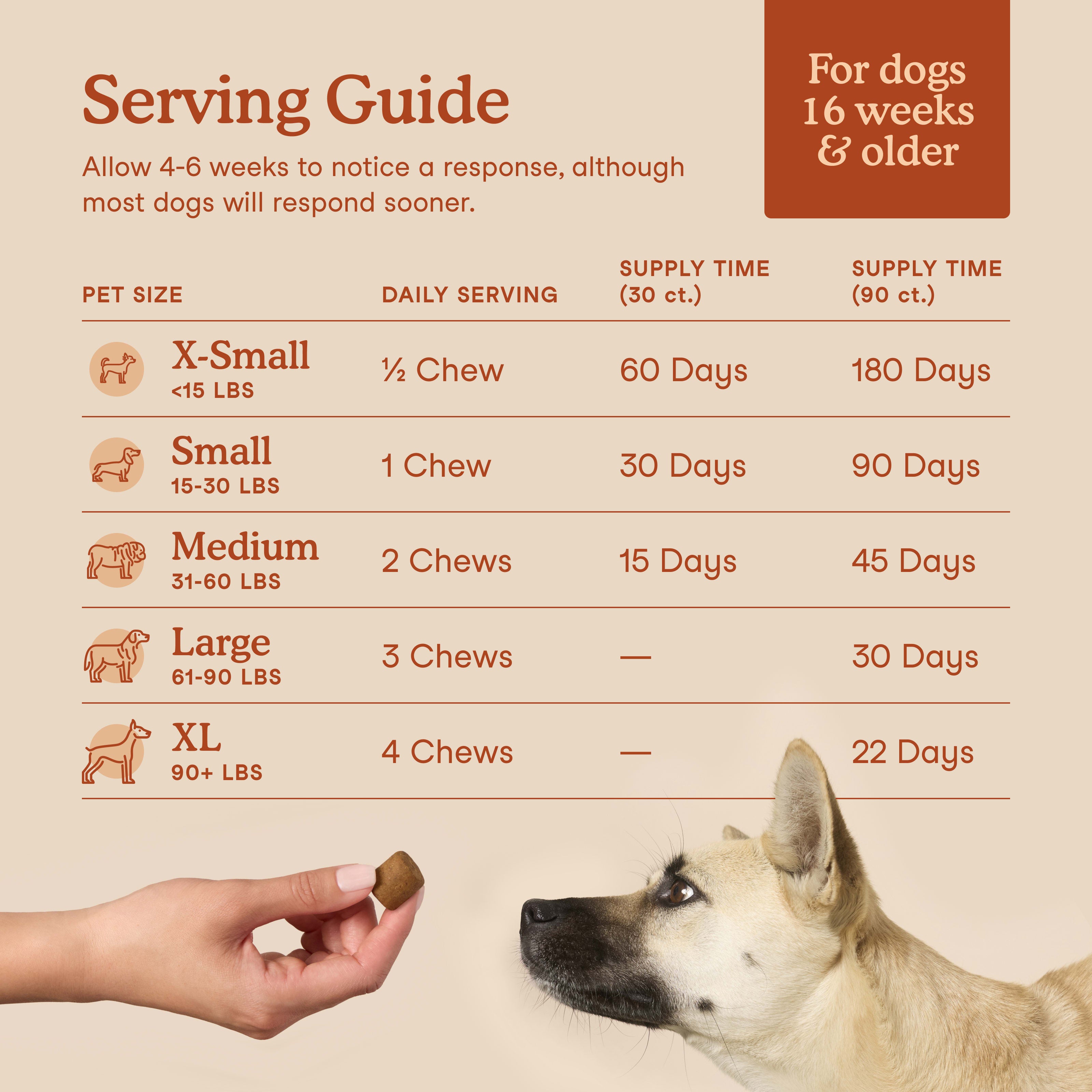 Probiotics Soft Chews for Dogs