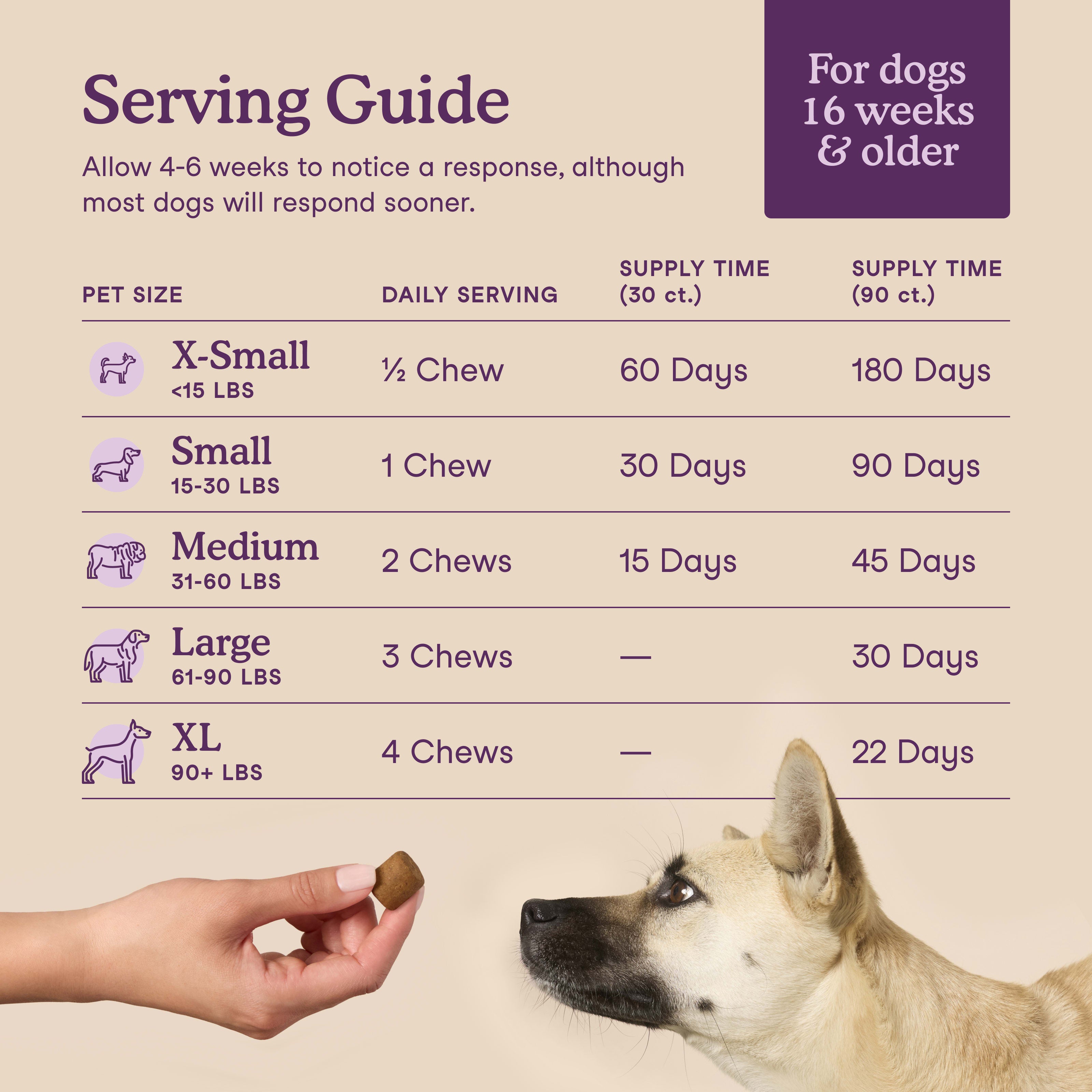 Calming Soft Chews for Dogs