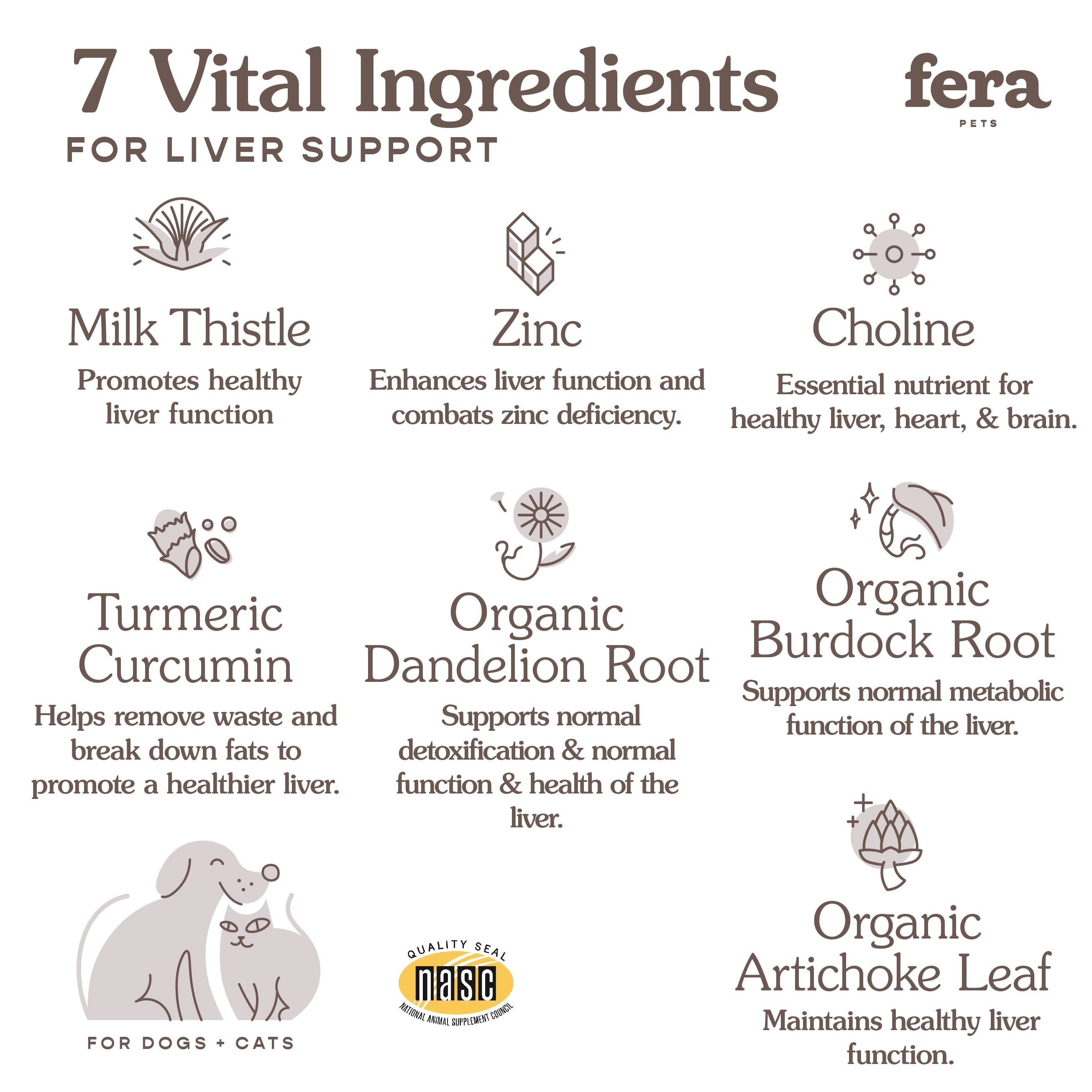 Liver Support for Dogs and Cats