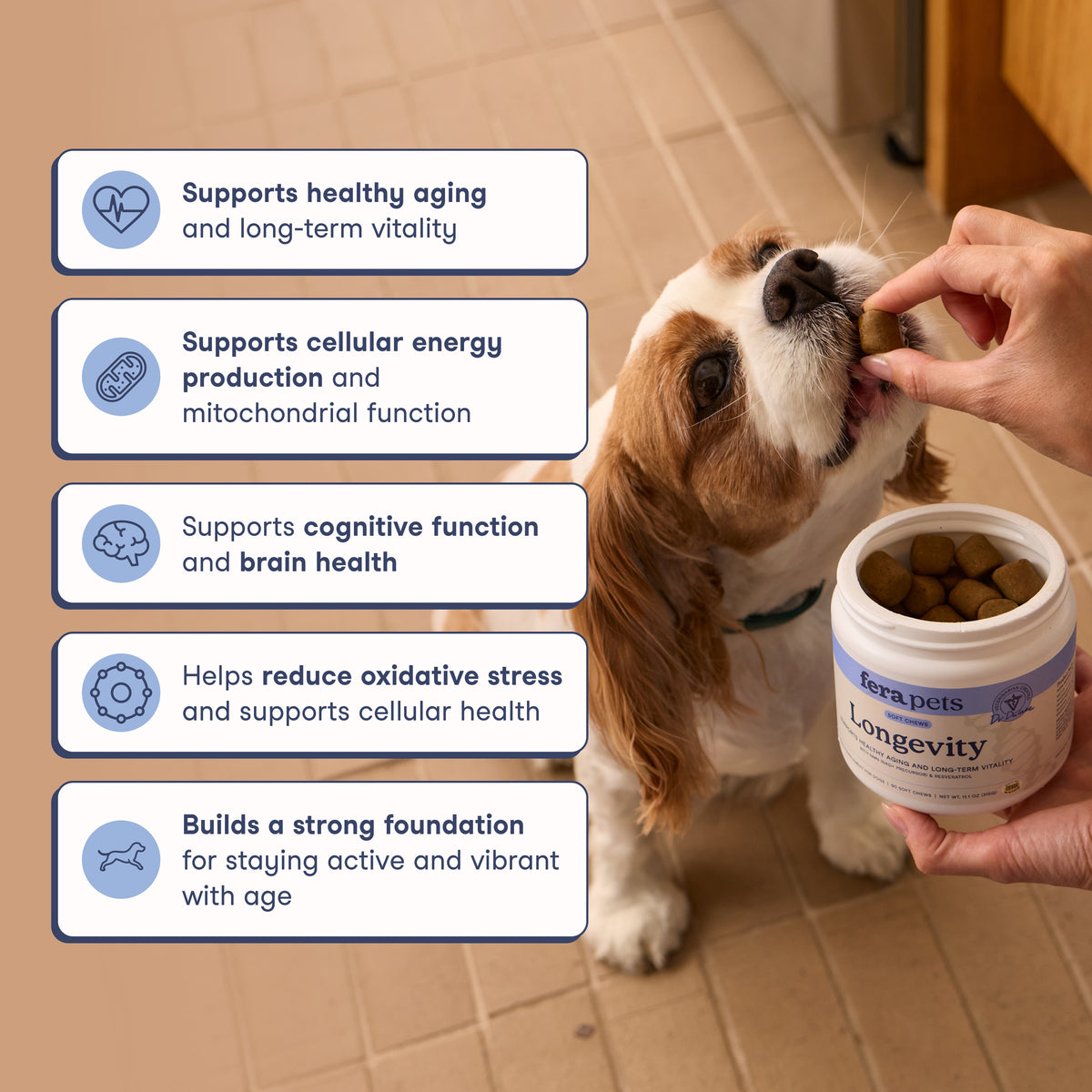 Longevity Soft Chews for Dogs