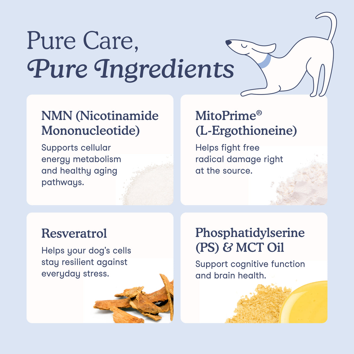 Longevity Soft Chews for Dogs