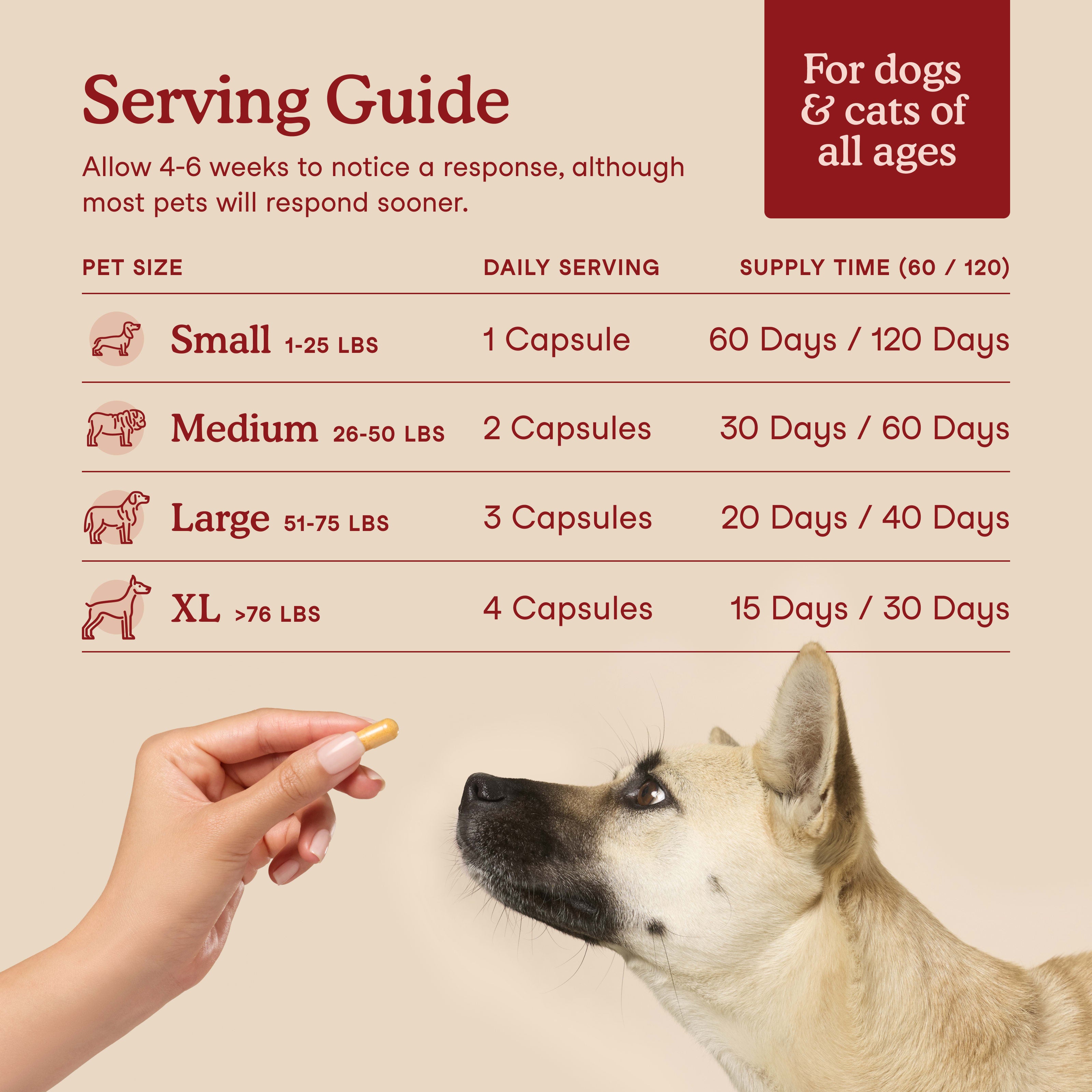 CoQ10 And L-Carnitine For Pets Herbsmith Taurine Boost For Dogs & Cats | Heart Health Supplement With Taurine, CoQ10, L-Carnitine & Omega-3s, 150g Pet Vitamin Powder CoQ10 And L-Carnitine For Pets Herbsmith Taurine Boost For Dogs & Cats | Heart Health Supplement With Taurine, CoQ10, L-Carnitine & Omega-3s, 150g Pet Vitamin Powder