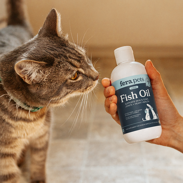 Shop All – Fera Pets