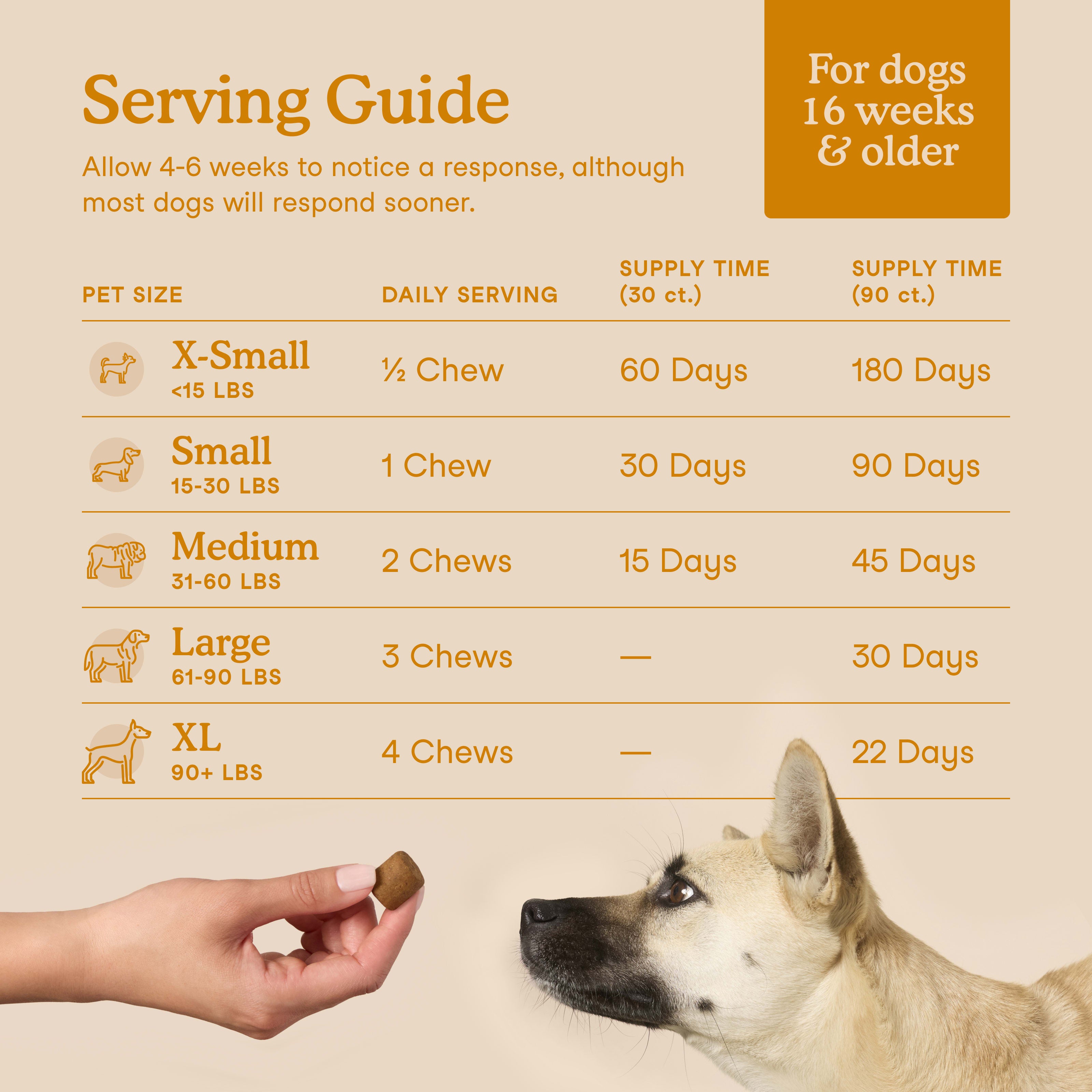 Allergy & Immune Support Soft Chews for Dogs