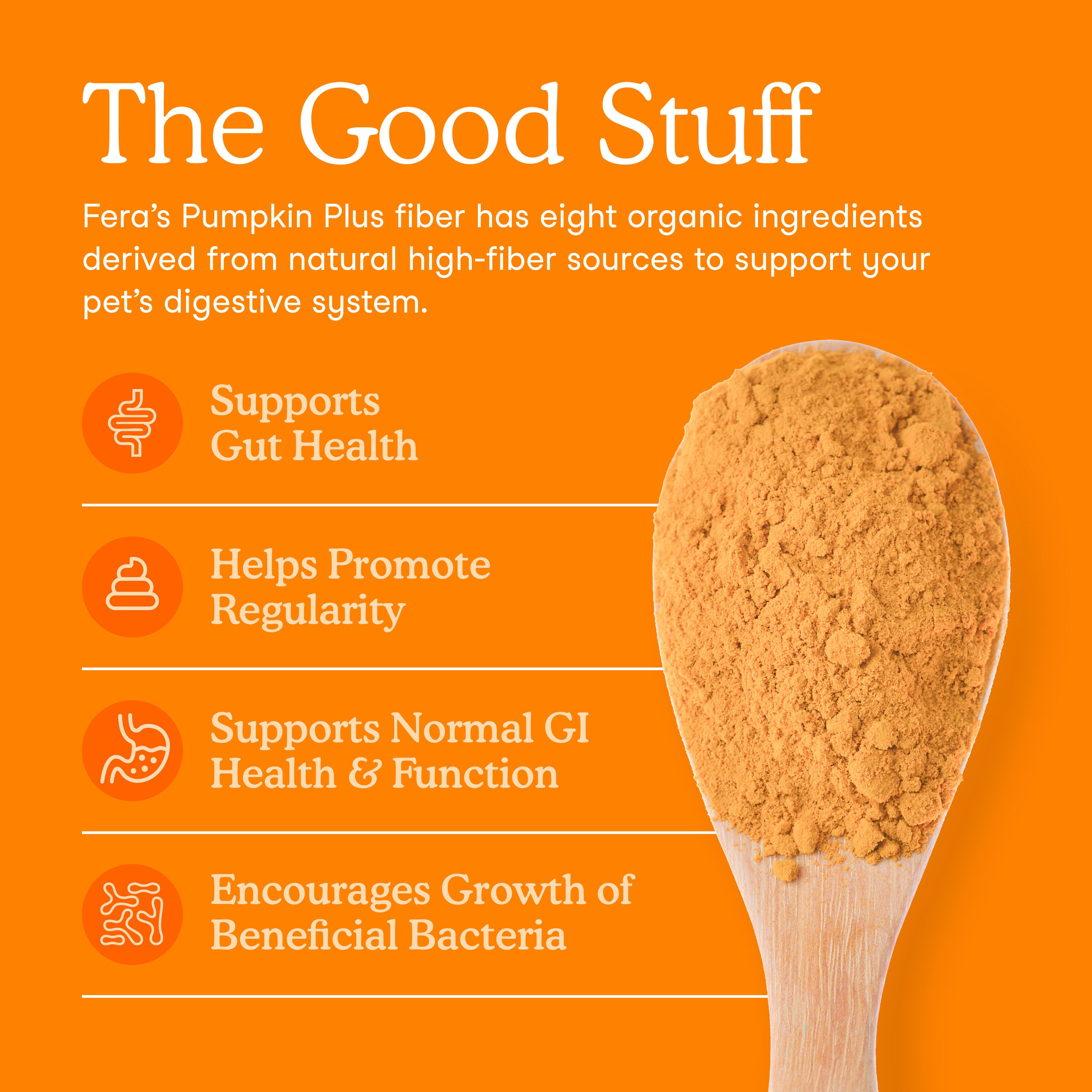 Pumpkin Plus Fiber Support for Dogs and Cats