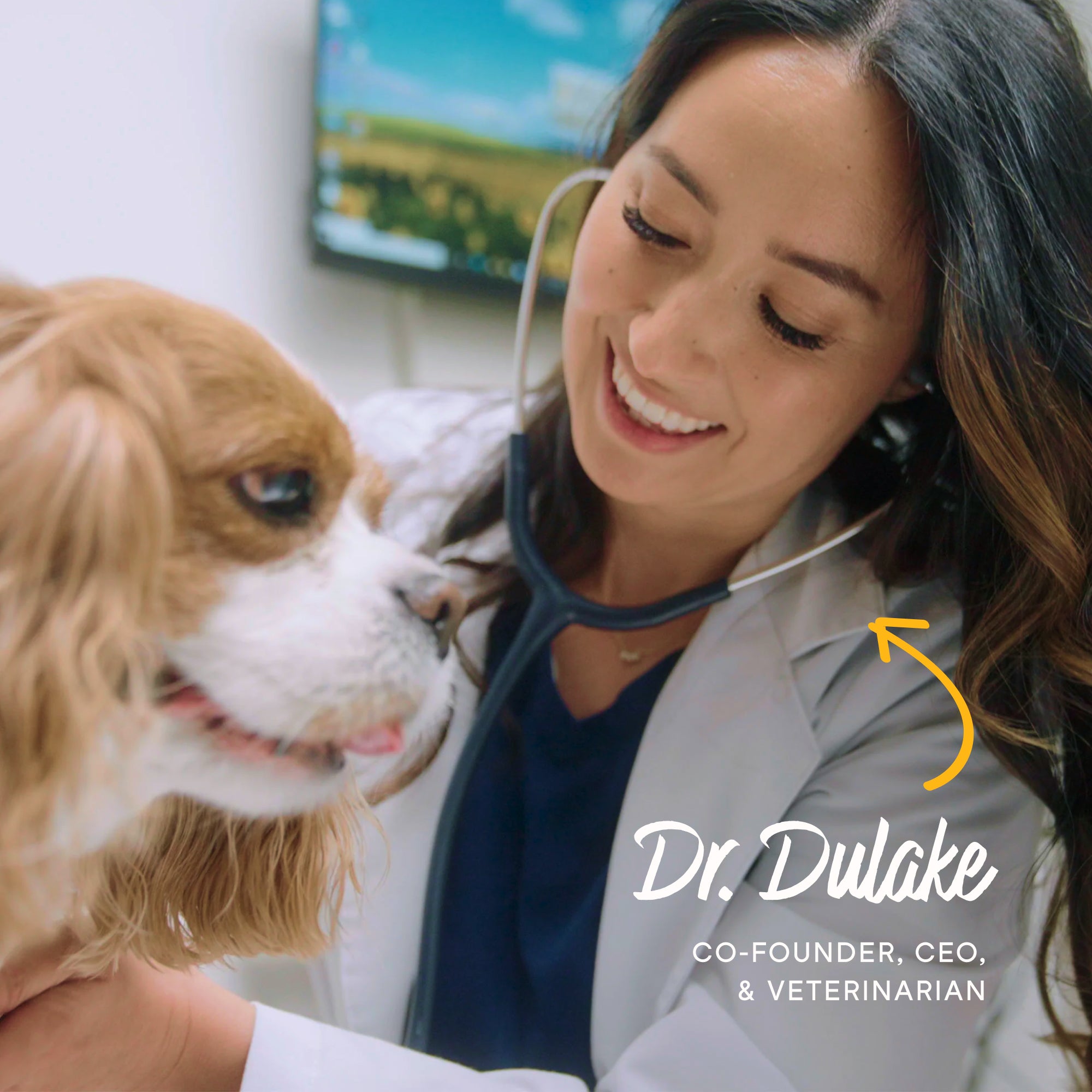vet-founded