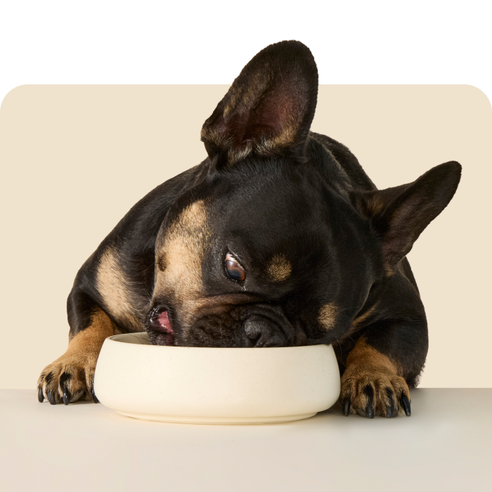 Winston