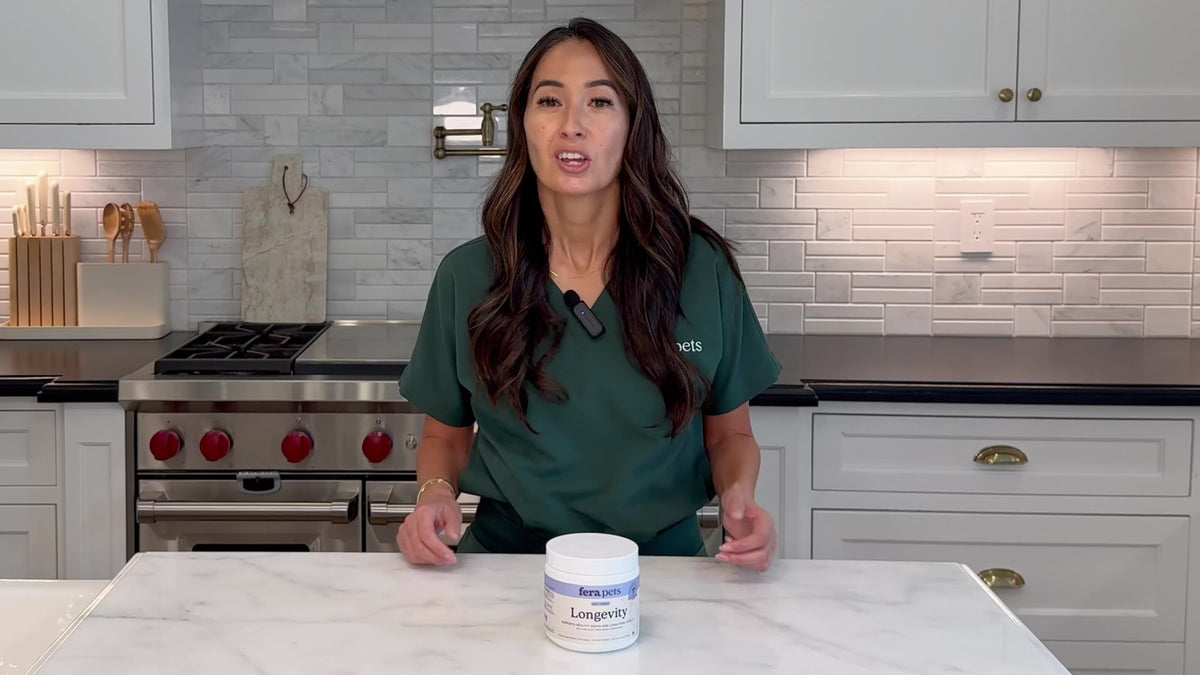 Load video: Longevity Soft Chews for Dogs