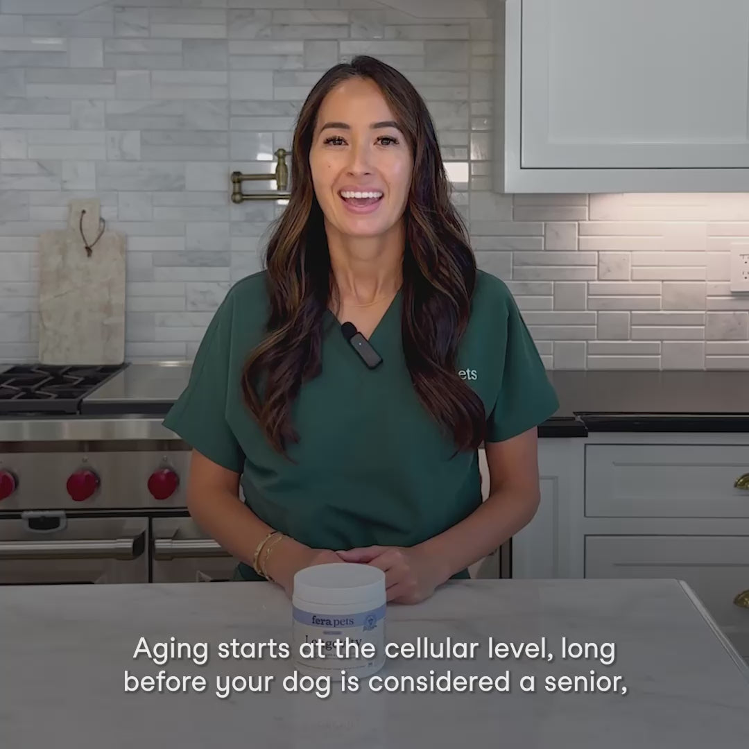 Dr. Michelle Dulake talks about the benefits of Fera Pets Longevity Soft Chews for Dogs