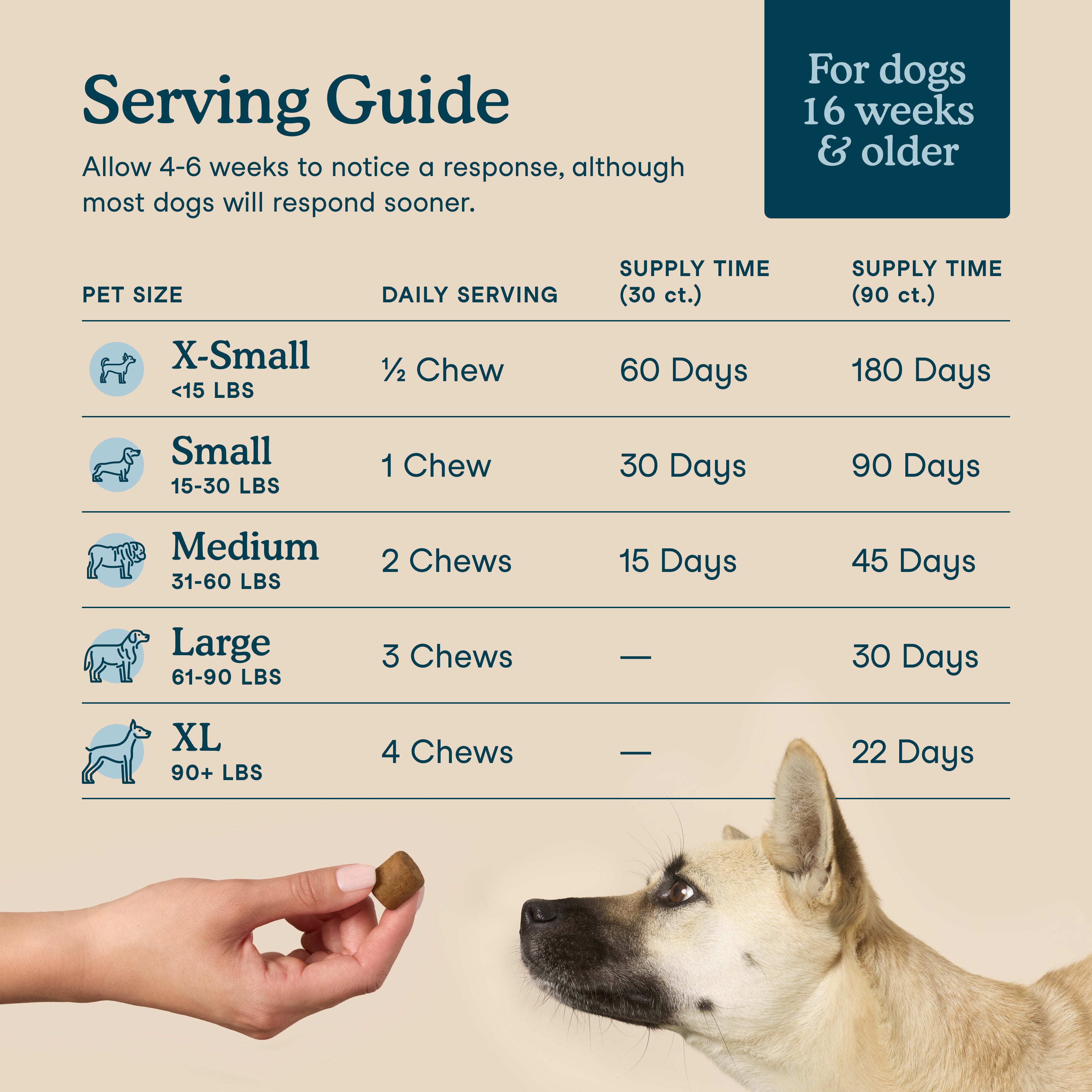 Multivitamin Soft Chews for Dogs
