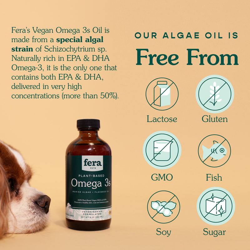 Fera's Vegan Omega 3s Oil contains both EPA and DHA.
