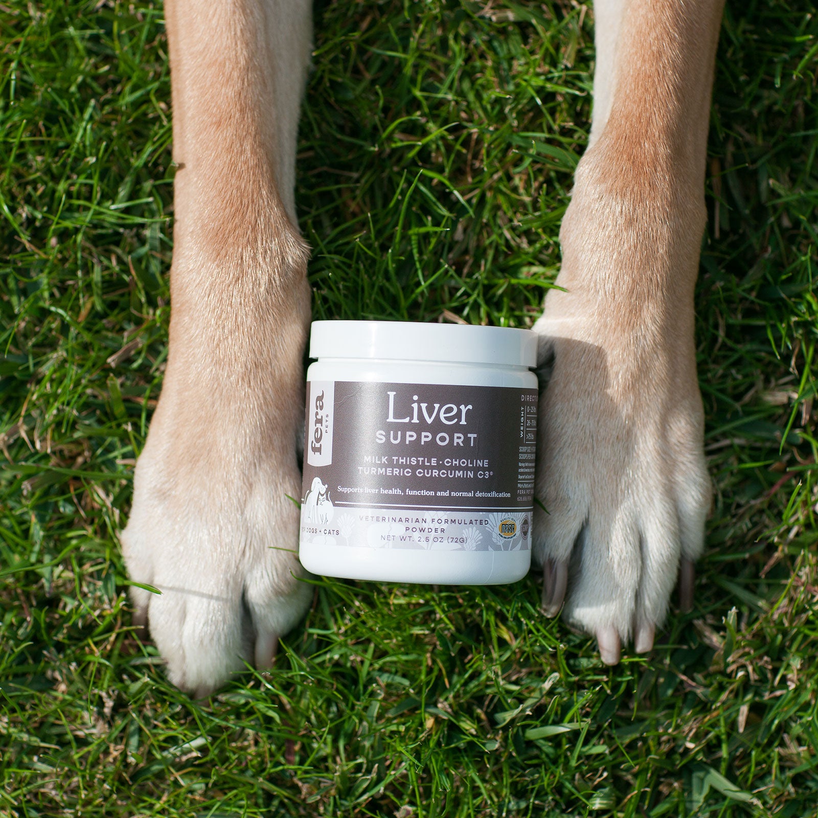 Liver Support for Dogs and Cats