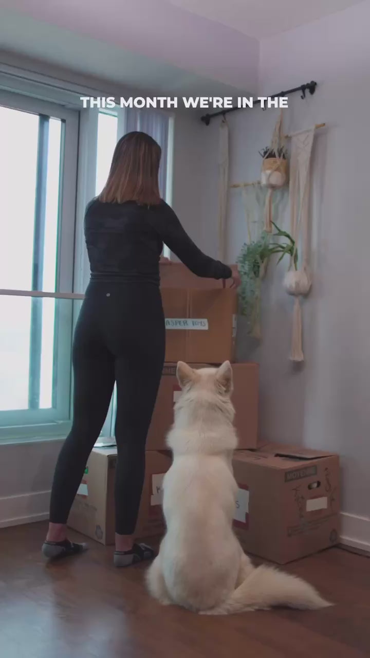 Load video: Calming Support for Dogs and Cats